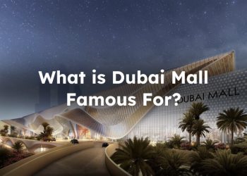 Things That Make Dubai Mall Famous