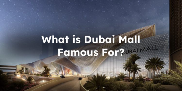 Things That Make Dubai Mall Famous
