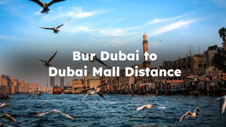 Bur Dubai to Dubai Mall Distance