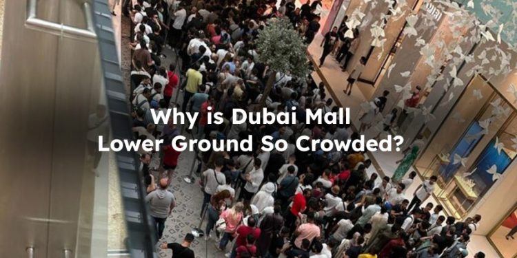 Why is Dubai Mall Lower Ground Crowded?