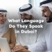 What Language Do They Speak in Dubai? Dubai Language
