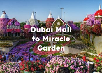 Dubai Mall to Miracle Garden