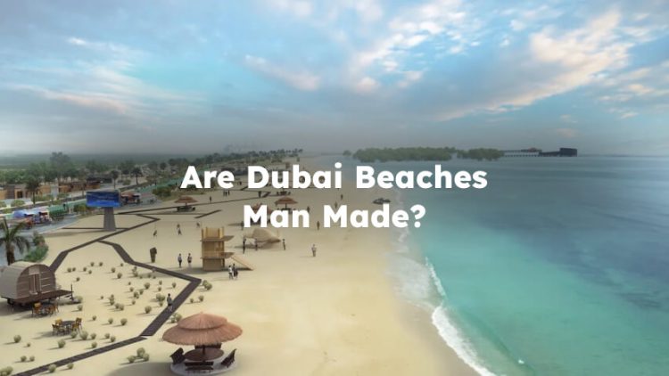 Are Dubai Beaches Man Made? Yes or No?