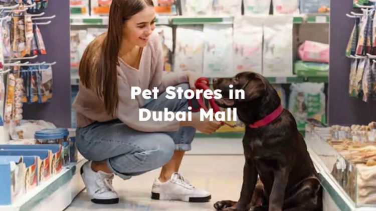 Pet Stores in Dubai Mall, Dubai Mall Pet Shop