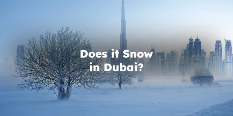 Does it Snow in Dubai? Has it Ever Snowed in Dubai