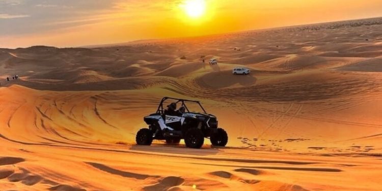 Top 10 Reasons to Try Desert Safari Sharjah in 2025