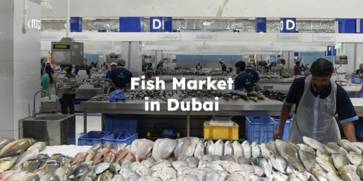Fish Market in Dubai  , Dubai Fish Market
