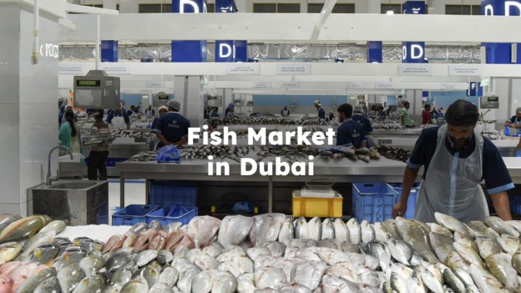 Fish Market in Dubai