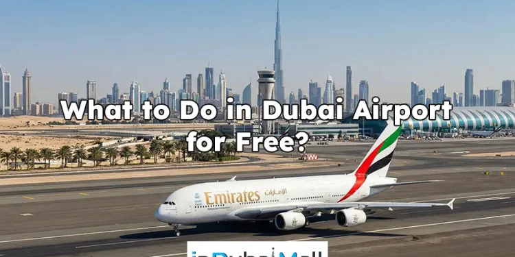 What to Do in Dubai Airport for Free? Free things to do at Dubai Airport