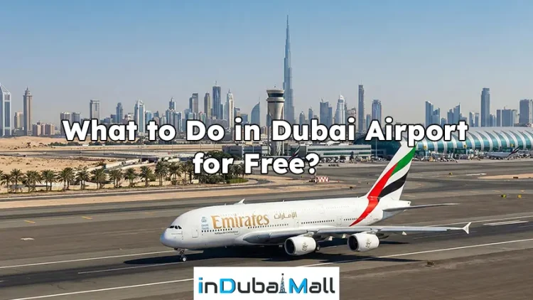 What to Do in Dubai Airport for Free? Free things to do at Dubai Airport