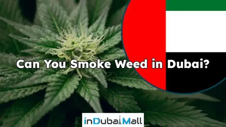 Can You Smoke Weed in Dubai?